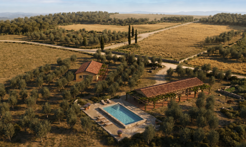 Azienda agricola con oliveto e progetto approvato