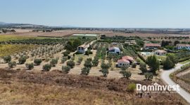 Tenuta in vendita Capalbio