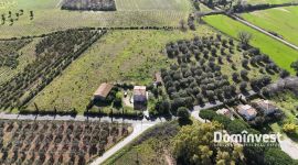 Casale con annessi e terreno nelle campagne di Capalbio