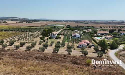 Tenuta in vendita Capalbio