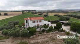 Casale in Vendita Montalto Di Castro