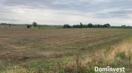 Terreno in vendita Capalbio