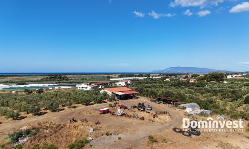 Proprietà Agricola con PMA e Cambio D’Uso Capalbio
