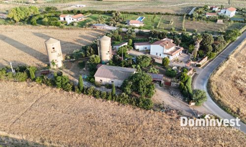 Terreno con fabbricati Vendita Pescia Romana