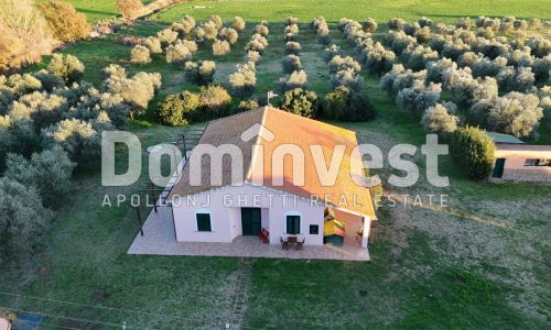 Casale con terreno Giardino dei Tarocchi